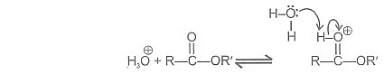 Carboxylic Acids: Physical & Chemical Properties | Chemistry for JEE Main & Advanced
