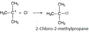 NCERT Exemplar: Haloalkanes and Haloarenes | Chemistry for JEE Main & Advanced