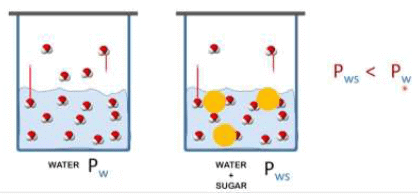 Colligative Properties & Relative Lowering in V.P | Additional Study Material for JEE