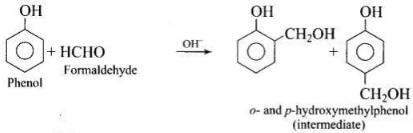 NCERT Exemplar: Polymers (Old NCERT) | Chemistry for JEE Main & Advanced
