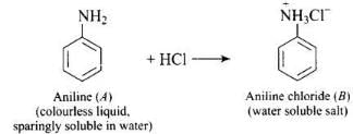 NCERT Exemplar: Amines | Chemistry Class 12 - NEET