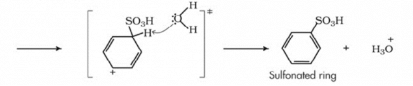 Nitration, Sulphonation and Halogenation | Chemistry for JEE Main & Advanced