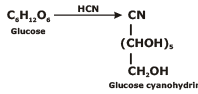Structure of Glucose & Fructose | Chemistry Class 12 - NEET