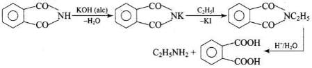 NCERT Exemplar: Amines | Chemistry Class 12 - NEET