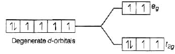 NCERT Exemplar: Coordination Compounds | Chemistry Class 12 - NEET