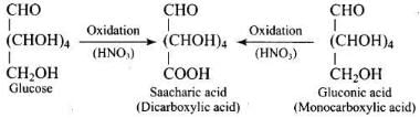 NCERT Exemplar: Biomolecules | Chemistry Class 12 - NEET