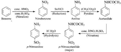 NCERT Exemplar: Amines | Chemistry Class 12 - NEET