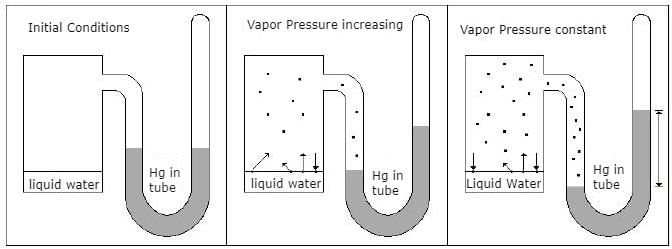 Vapour Pressure, Raoult`s Law, Ideal & Non Ideal Solutions | Physical Chemistry for NEET