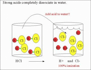 Indicators, Acids, Bases & Salts | Chemistry Class 11 - NEET