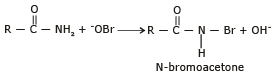 Basic Character & Preparation of Amines | Chemistry Class 12 - NEET