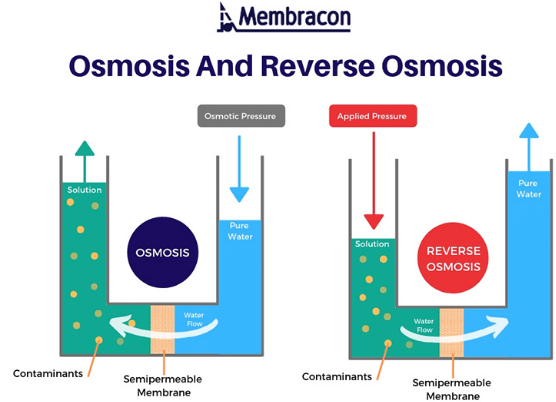 Reverse Osmosis & Water Purification | Additional Study Material for JEE