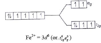 NCERT Exemplar: Coordination Compounds | Chemistry Class 12 - NEET