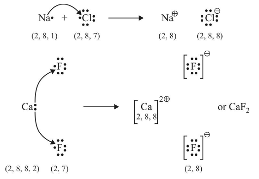 Types of Chemical Bonds | Physical Chemistry for NEET