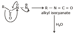 Basic Character & Preparation of Amines | Chemistry Class 12 - NEET