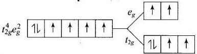 NCERT Exemplar: Coordination Compounds | Chemistry Class 12 - NEET