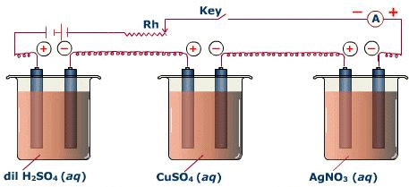 Fig: Electrolytic cell