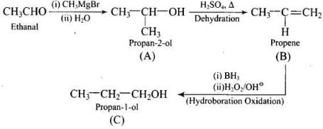 NCERT Exemplar: Aldehydes, Ketones & Carboxylic Acids | Chemistry Class 12 - NEET