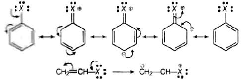 NCERT Exemplar: Haloalkanes and Haloarenes | Chemistry for JEE Main & Advanced