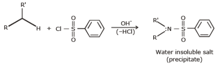 Physical & Chemical Properties of Amines | Chemistry Class 12 - NEET