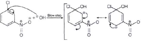 NCERT Exemplar: Haloalkanes and Haloarenes | Chemistry for JEE Main & Advanced