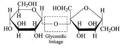 NCERT Exemplar: Biomolecules | Chemistry Class 12 - NEET