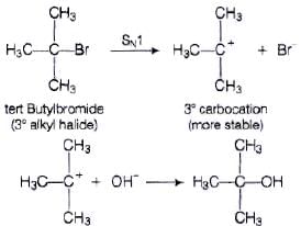NCERT Exemplar: Haloalkanes and Haloarenes | Chemistry for JEE Main & Advanced