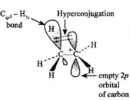 NCERT Exemplar: Some Basic Principles & Techniques | Chemistry Class 11 - NEET