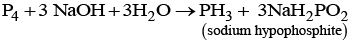NCERT Exemplar: p-Block Elements (Group 15-18) | Chemistry for JEE Main & Advanced