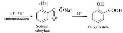NCERT Exemplar: Alcohols, Phenols & Ethers | Chemistry Class 12 - NEET