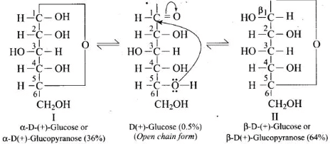 NCERT Exemplar: Biomolecules | Chemistry Class 12 - NEET