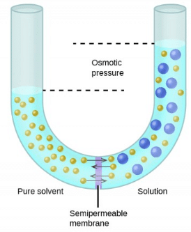 Osmosis, Osmotic Pressure & Van’t Hoff Factor | Chemistry Class 12 - NEET