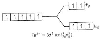 NCERT Exemplar: Coordination Compounds | Chemistry Class 12 - NEET