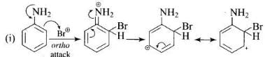 NCERT Exemplar: Amines | Chemistry Class 12 - NEET