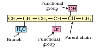 Nomenclature of Organic Compounds | Chemistry Class 11 - NEET