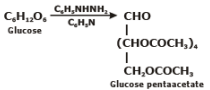 Structure of Glucose & Fructose | Chemistry Class 12 - NEET