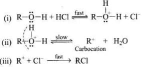 NCERT Exemplar: Alcohols, Phenols & Ethers | Chemistry Class 12 - NEET
