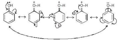 Inductive and Mesomeric Effect - Class 11