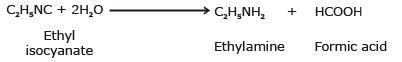 Basic Character & Preparation of Amines | Chemistry Class 12 - NEET