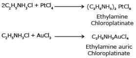 Physical & Chemical Properties of Amines | Chemistry Class 12 - NEET
