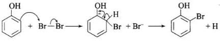 NCERT Exemplar: Alcohols, Phenols & Ethers | Chemistry Class 12 - NEET