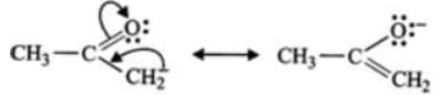 Short & Long Answer Question - Class 11