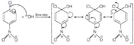 NCERT Exemplar: Haloalkanes and Haloarenes | Chemistry for JEE Main & Advanced