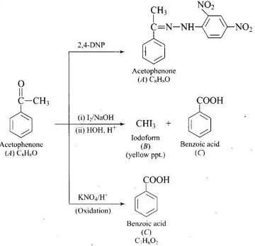 NCERT Exemplar: Aldehydes, Ketones & Carboxylic Acids | Chemistry Class 12 - NEET