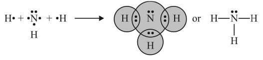 Types of Chemical Bonds | Physical Chemistry for NEET