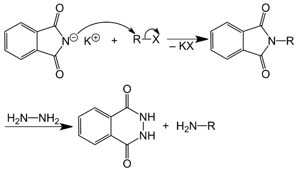 Gabriel Phthalamide Reaction - JEE