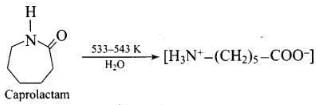NCERT Exemplar: Polymers (Old NCERT) | Chemistry for JEE Main & Advanced