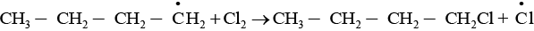 NCERT Exemplar: Haloalkanes and Haloarenes | Chemistry for JEE Main & Advanced
