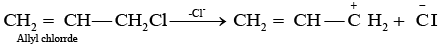 NCERT Exemplar: Haloalkanes and Haloarenes | Chemistry for JEE Main & Advanced