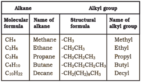Nomenclature of Organic Compounds | Chemistry Class 11 - NEET
