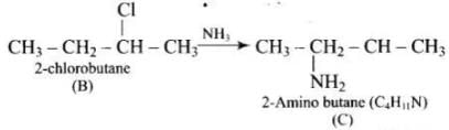 NCERT Exemplar: Amines | Chemistry Class 12 - NEET
